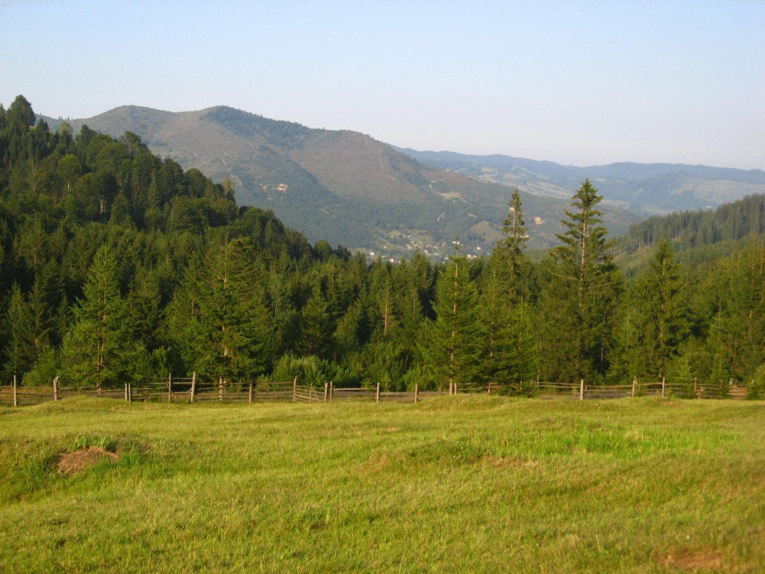 Pension Lucia Bucovina Hotel Vama  Buitenkant foto